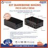 Kit-Barebone-nhung-PICO-APL1-SEMI