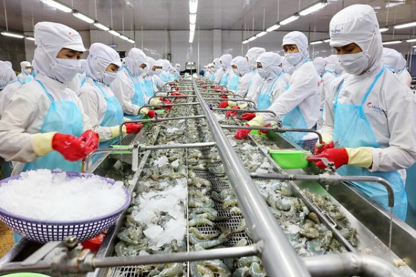 Công nghiệp chế biến thủy sản
