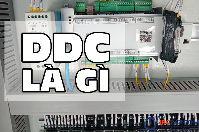 DDC là gì